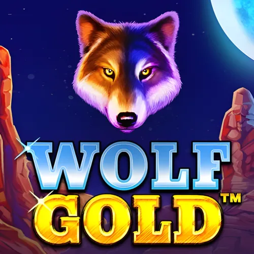 Try the popular Wolf Gold slot for 1win India players.